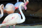 tierpark 04
