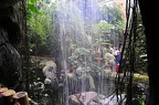 zoo koeln 049
