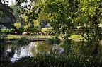 zoo koeln 056