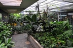 zoo koeln 090