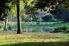 zoo koeln 098