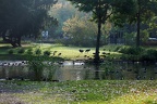 zoo koeln 101