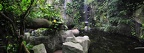 zoo koeln 325 (被訪問過 1596 次) zoo koeln 325