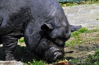 grugapark 07