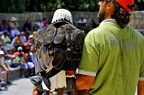 014-parque las aguilas - airshow
