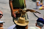 029-parque las aguilas - airshow