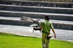 037-parque las aguilas - airshow