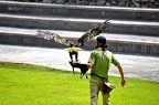 036-parque las aguilas - airshow