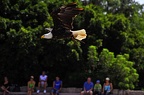 042-parque las aguilas - airshow
