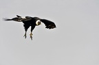 046-parque las aguilas - airshow
