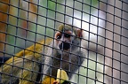 105-parque las aguilas - apes