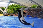 20 - loro parque