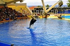 25 - loro parque