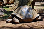 37 - loro parque