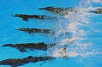 61 - loro parque