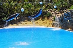 66 - loro parque