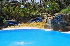 67 - loro parque