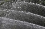 grugapark 39