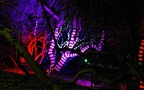 54-grugapark iii