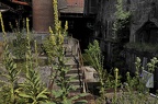 henrichshut 48
