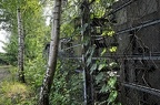 coking plant 37