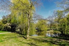 063 muenster city