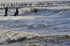 den haag beach 03