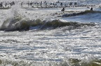 den haag beach 08 (3348 Besuche) den haag beach 08