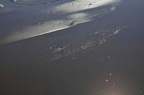 den haag beach 26