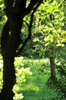 grugapark 017 (2452 visites) grugapark 017