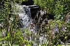 grugapark 121