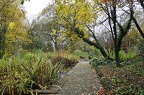 bot garden i 096