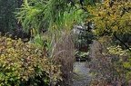 bot garden i 102 (2351 Besuche) bot garden i 102