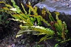 bot garden v 020 (2412访问量) bot garden v 020
