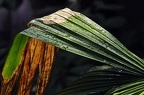 grugapark ii 22