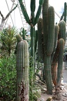 grugapark ii 62 (2641 Besuche) grugapark ii 62