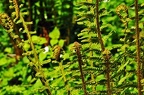 grugapark iii 11