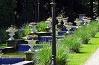 koeln flora 060