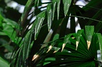 grugapark viii 39