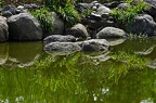 grugapark viii 94