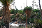 204 - botanicactus