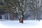 01-grugapark xiv