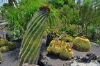 23-parque las aguilas - plants