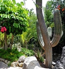 35-parque las aguilas - plants