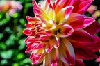 11-grugapark xx (3552 Besuche) 11-grugapark xx