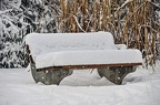 23-grugapark xxi (3768 odwiedzin) 23-grugapark xxi