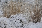 26-grugapark xxi (3808 Besuche) 26-grugapark xxi