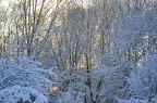 44-grugapark xxi (4216 gweladenn) 44-grugapark xxi