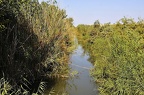 40 - wildlife park salbufera near playa de alcudia