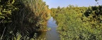 50 - wildlife park salbufera near playa de alcudia (1660 Besuche) 50 - wildlife park salbufera near playa de alcudia